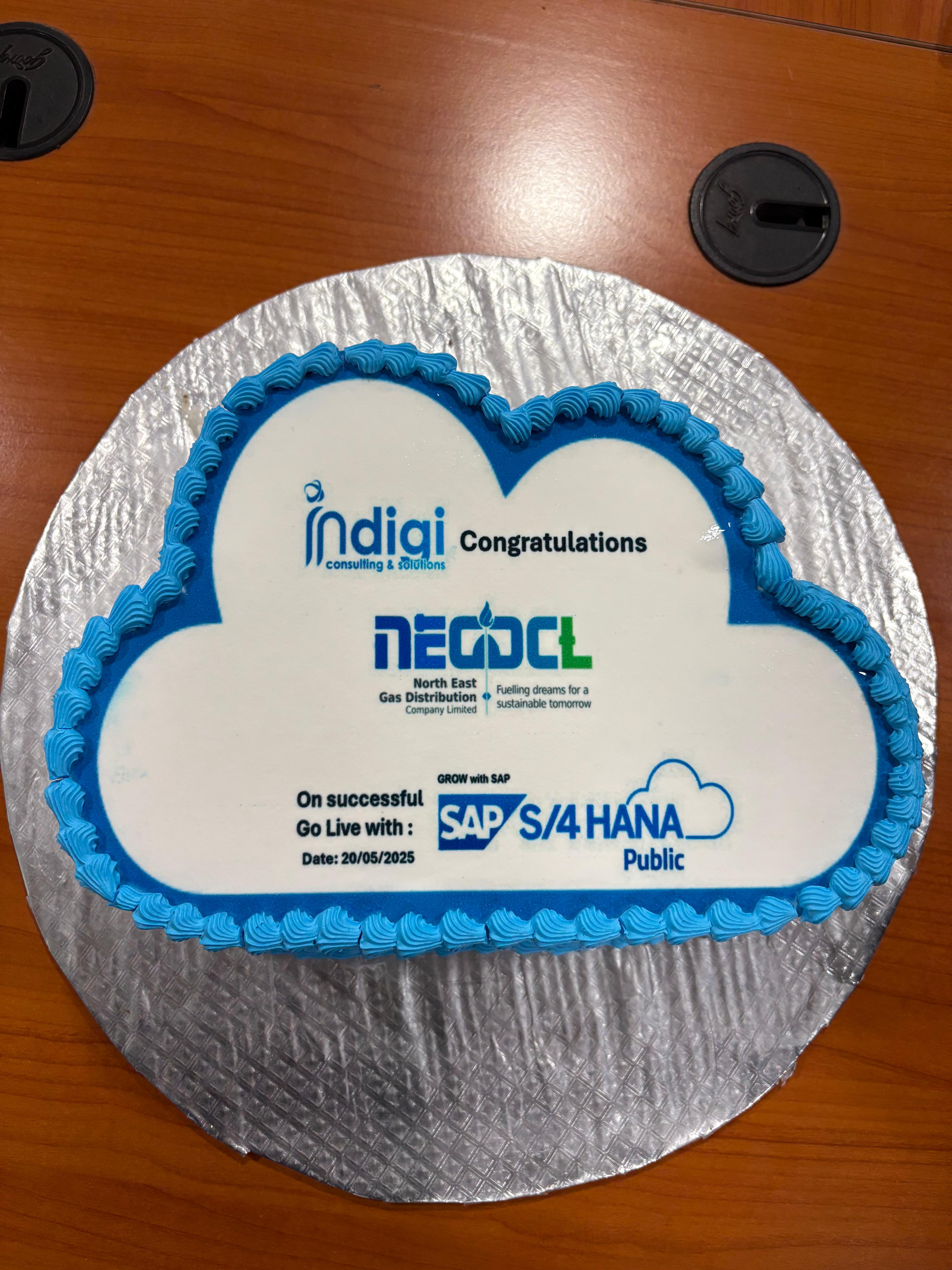 gallery/photo_gallery/Go live of SAP S/4HANA in NEGDCL/138.jpg